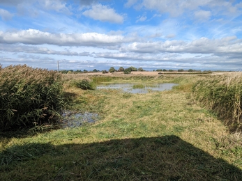 After clearing in front of the viewpoints at Hen Reedbeds - Jamie Smith 
