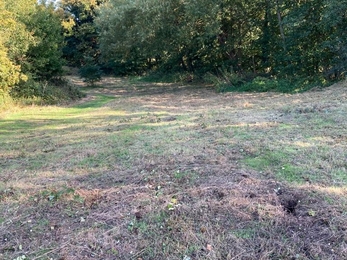 Clearing the meadow area at Hen Reedbeds with the volunteers – Frances Lear 