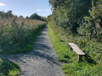 Accessible paths – Lewis Yates 