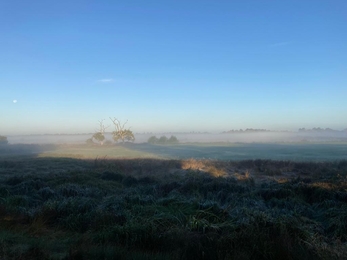 Misty morning at Carlton Marshes – Frances Lear 