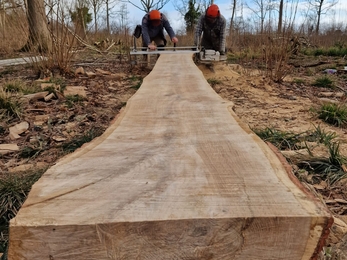 Green oak woodworking, Bradfield Woods, Anneke Emery 