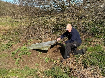 Reptile tins being added and relocated at Lound Lakes - Andy Hickinbotham 