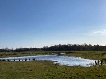 Windpump transformed landscape at Oulton Marshes – Matt Gooch 