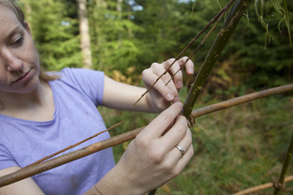 Suffolk Wildlife Trust