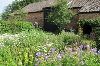 Foxburrow Farm garden