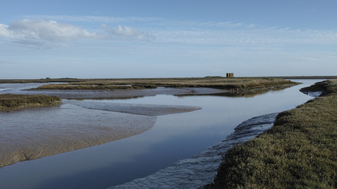 Simpson's Salting Suffolk Wildlife Trust