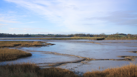 A view of Levington with the tide out and blue skies