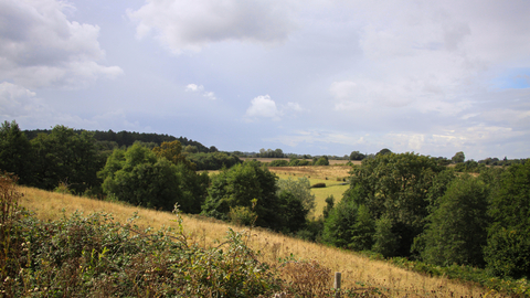 A view across rolling hills on a sunny day