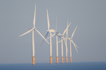 Off shore wind farm - Amy Lewis