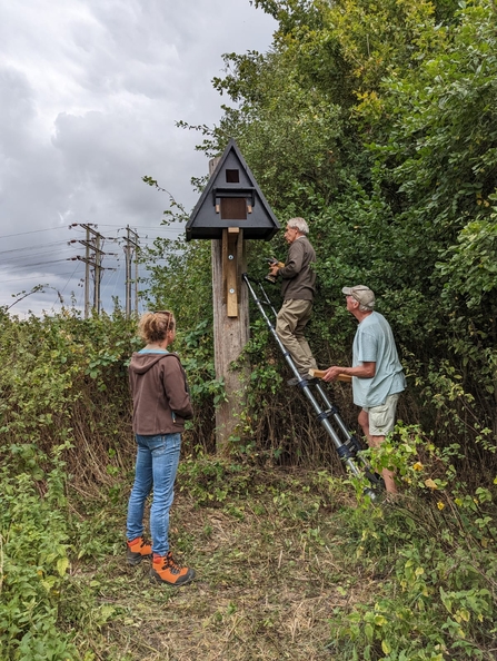 New barn owl box at Trimley Marshes – Joe Underwood 