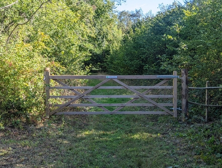 New gates at Reydon Wood - Jamie Smith
