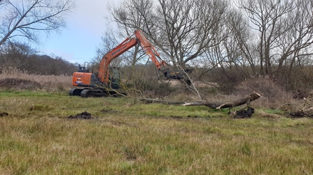 Cutting back the trees overhanging the dykes at Snape Marshes, Rachel Norman 