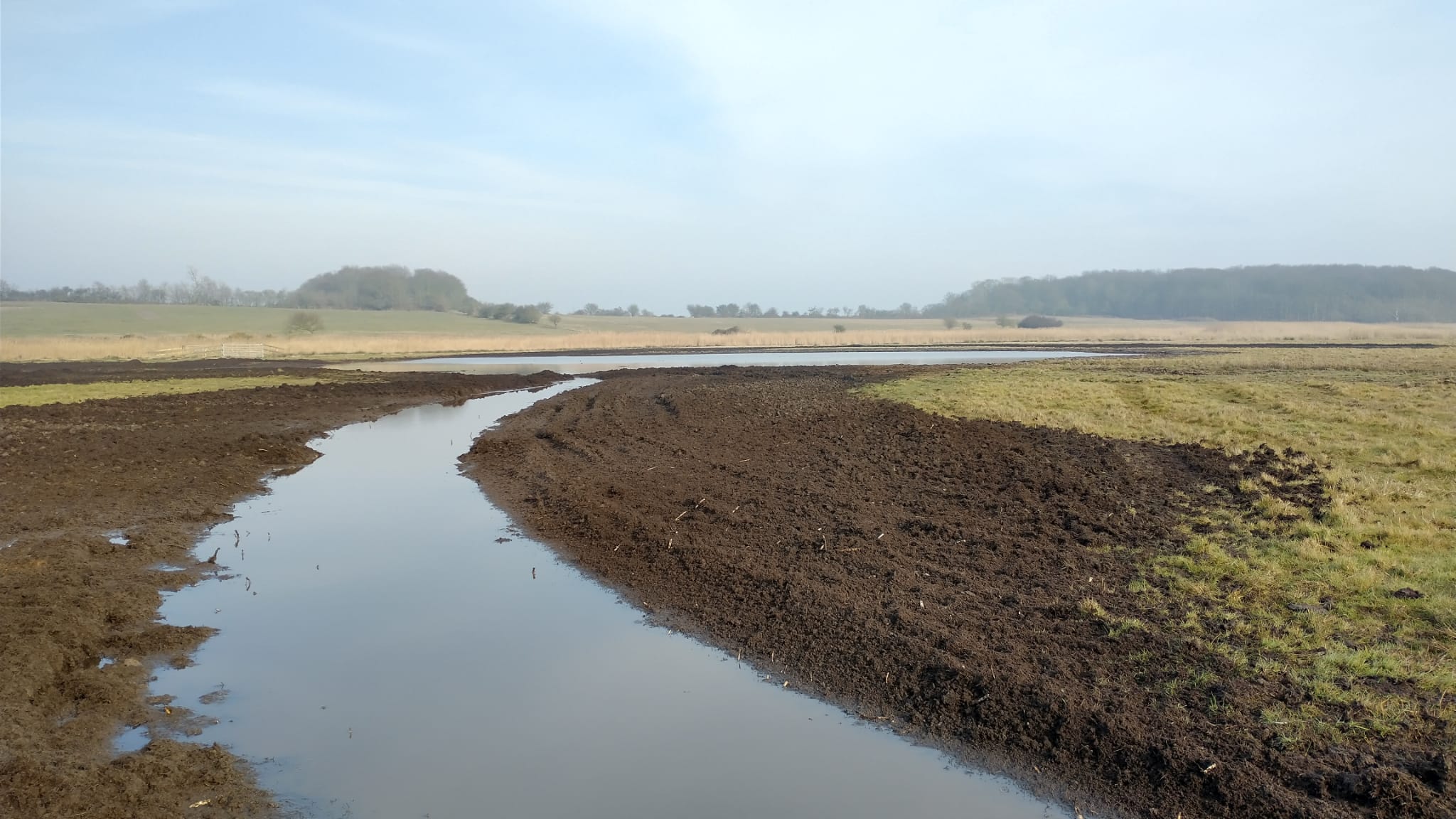 Foot drain at Dingle Marshes, Dan Doughty