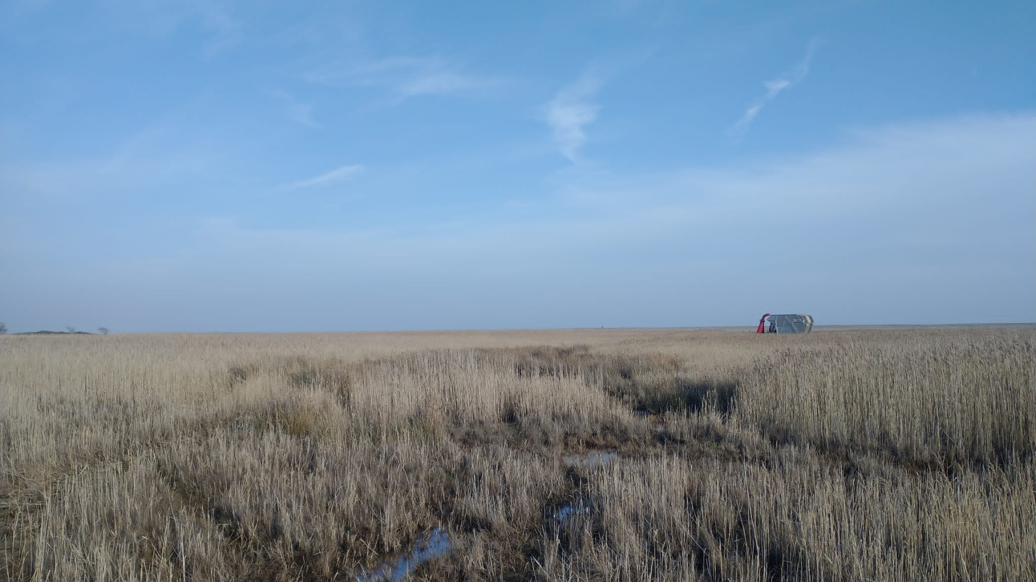 The softrak cutting reeds at Dingle Marshes, Dan Doughty 