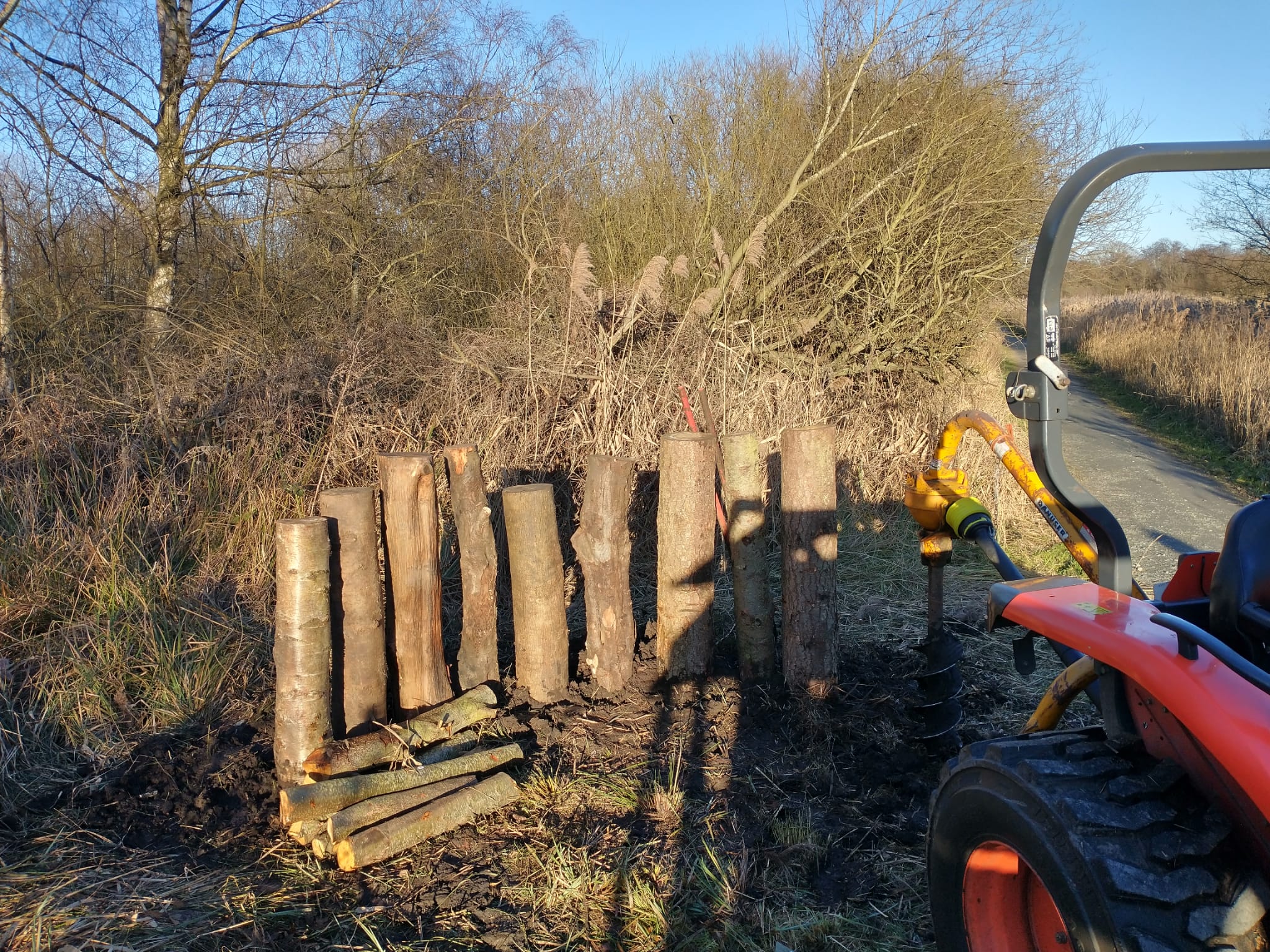 Mini beast logs at Carlton Marshes, Lewis Yates