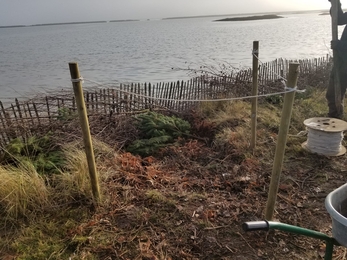 Footpath repairs are complete – Gabby King 