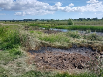 Viewing platform at Oulton Marshes destroyed by fire from disposable bbq after