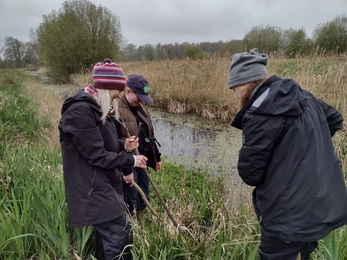Three tean members on a riverside looking for signs of water vole activity