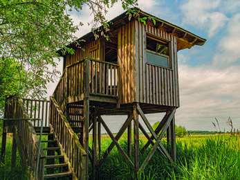 Shine reflecting off of the tall bird hide at Carlton Marshes