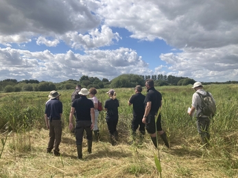 The reserves team out on the marshes looking at plant species