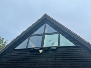 installing swift boxes on the school hall