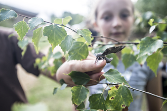 Suffolk Wildlife Trust