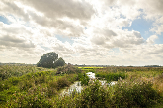 Carlton Marshes by John Ferguson