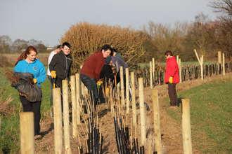 Suffolk Wildlife Trust