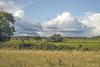 Carlton Marshes by Steve Aylward