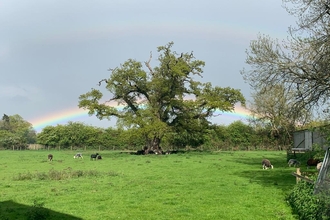 Rainbow over Foxburrow Farm, Steve Hook