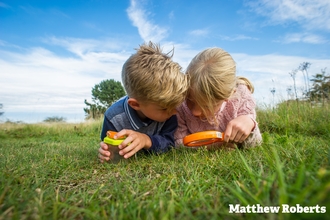Children Minibeast Hunting Matthew Roberts