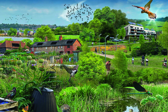 Suffolk Wildlife Trust urban vision illustration, Dan Hilliard, 2021