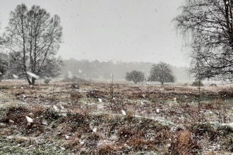 Snow at Knettishall Heath, Sam Norris, 31 March 22