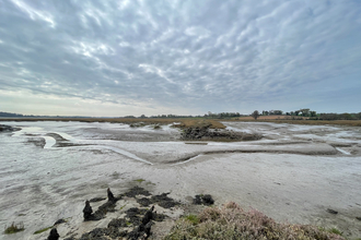 Martlesham Wilds - Steve Aylward