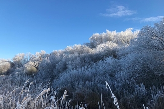 Hoar frost at Carlton Marshes - Andy Hickinbotham