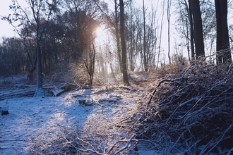 Very snowy Bradfield Woods – Anneke Emery 