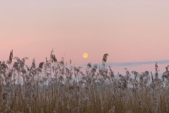 Sunset at Hen Reedbeds