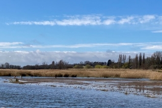 Carlton Marshes, Matt Gooch