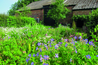 Foxburrow barn garden