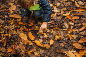 autumn leaves child