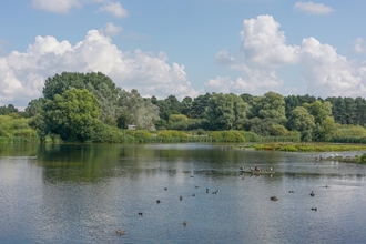 A panoramic view over Lackford Lakes in Suffolk, with trees relfected in the water and wildfowl on the lake's surface.