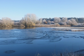 A frosty lake with the trees on the horizon