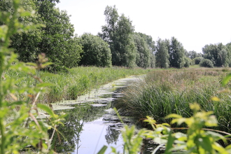 A landscape photography looking down a restored dyke at Worlingham Marshes