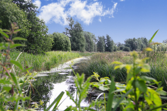 A restore dyke at Worlingham Marshes nature reserve in Suffolk