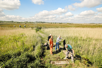 Carlton Marshes courtesy John Ferguson