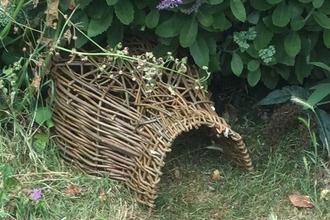 willow weaved hedgehog home