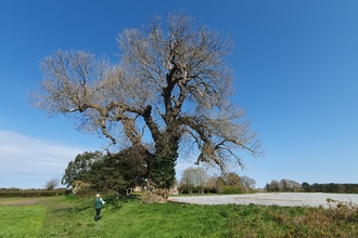 Butley NBP April 2023 Photo courtesy of David Appleton