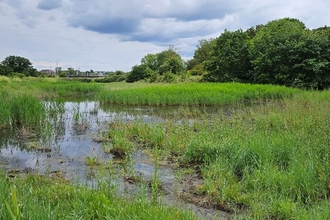 County Wildlife Site