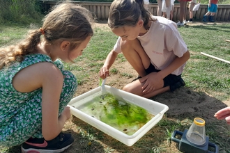 Two children viewing a pong dipping tray