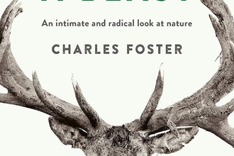 Book cover featuring a stag